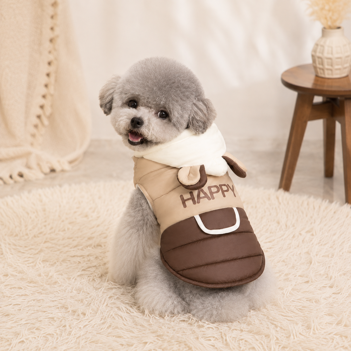 Small fluffy dog wearing the Hooded Dog Winter Cotton Coat in Brown.