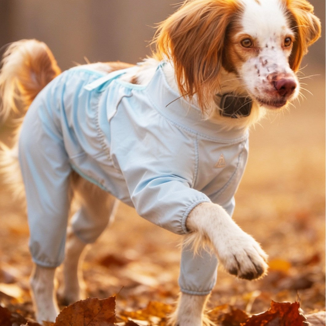 Dog wearing the outdoor water-resistant jumpsuit outdoors#Archived_General