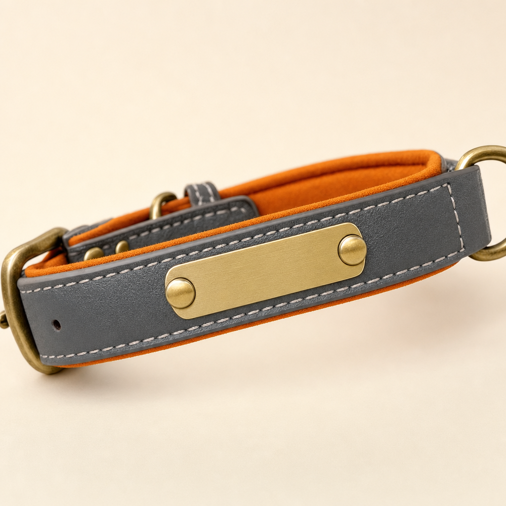 Close view of the blank metal ID plate riveted to a slate grey vegan leather dog collar