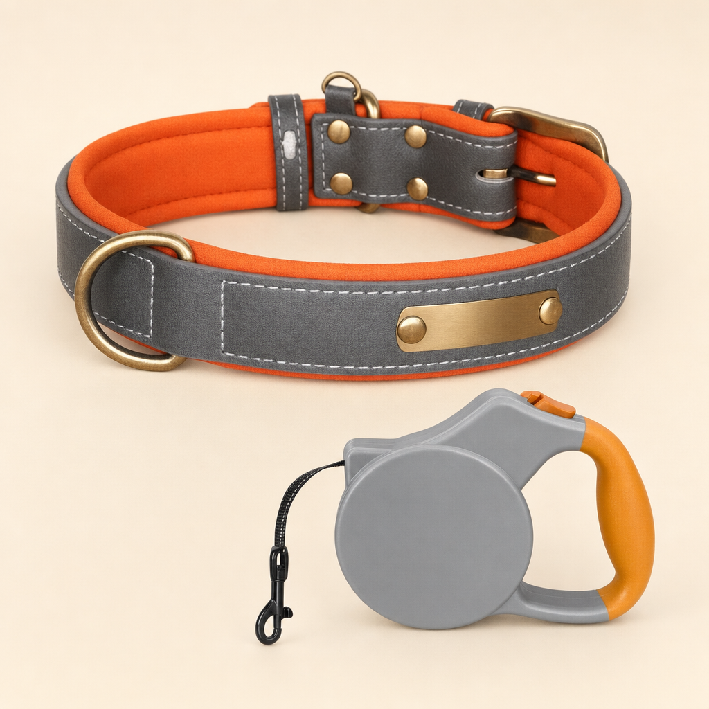 Slate Heritage collar with the 5 metre retractable reel lead