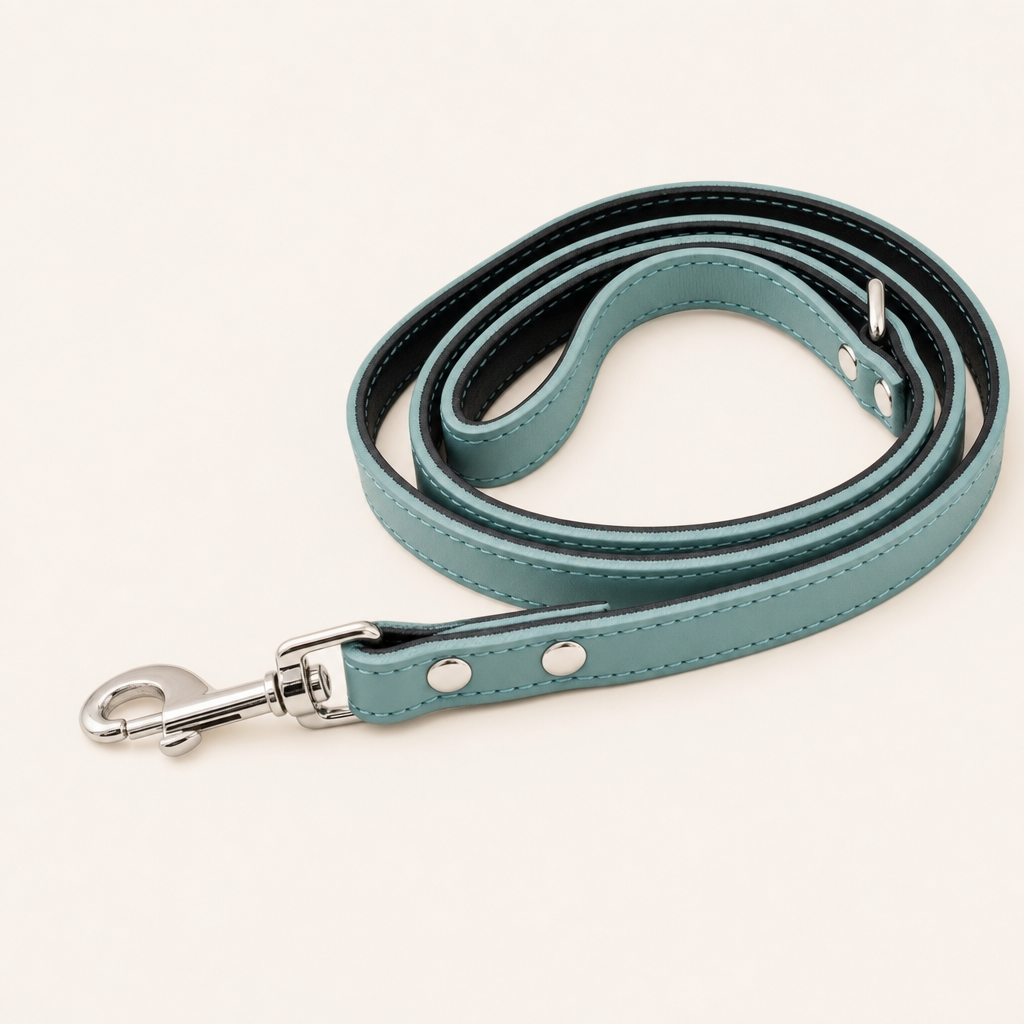 Plain duck egg matching lead coiled flat, with a silver swivel hook and no rhinestones