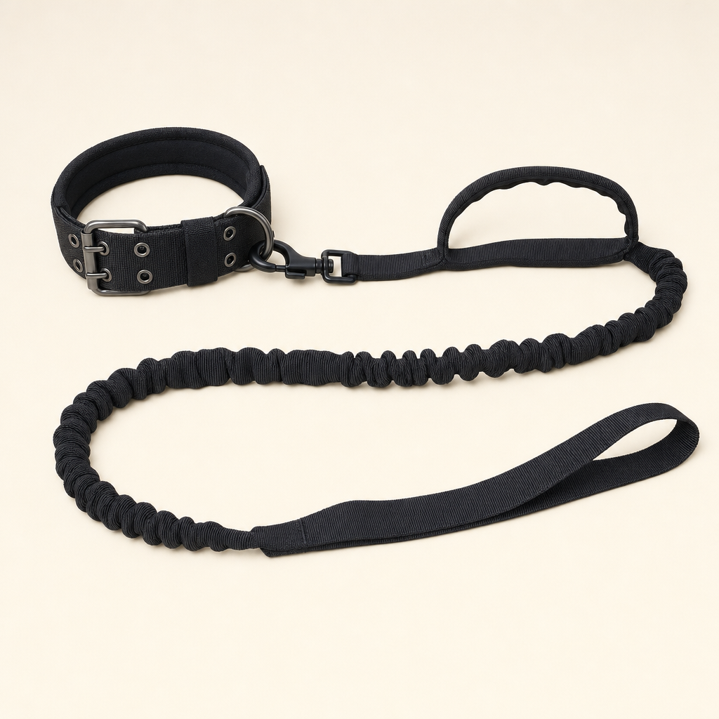 A black double-pin buckle dog collar clipped to a black bungee lead with a grip handle near the clip and a hand loop at the end.