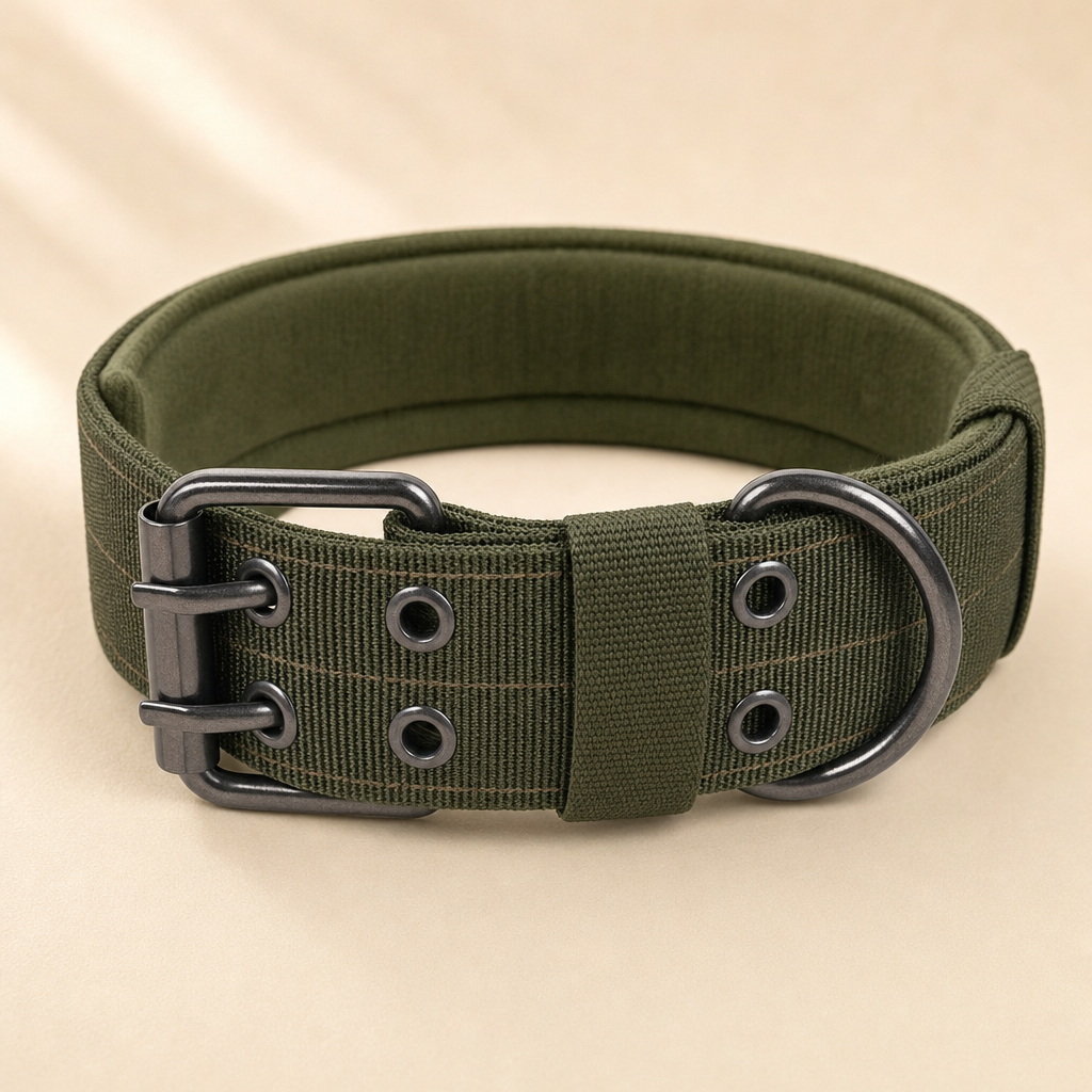 Close-up of an olive dog collar fastened with a two-pin metal buckle through two rows of metal eyelets.
