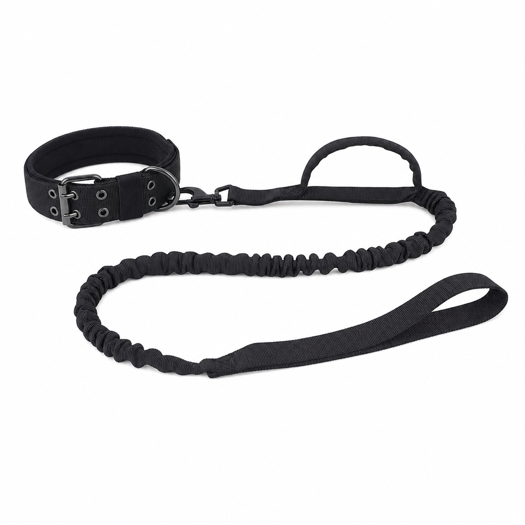 Black set: a two-pin buckle dog collar clipped to a matching bungee lead with a grip handle and hand loop.