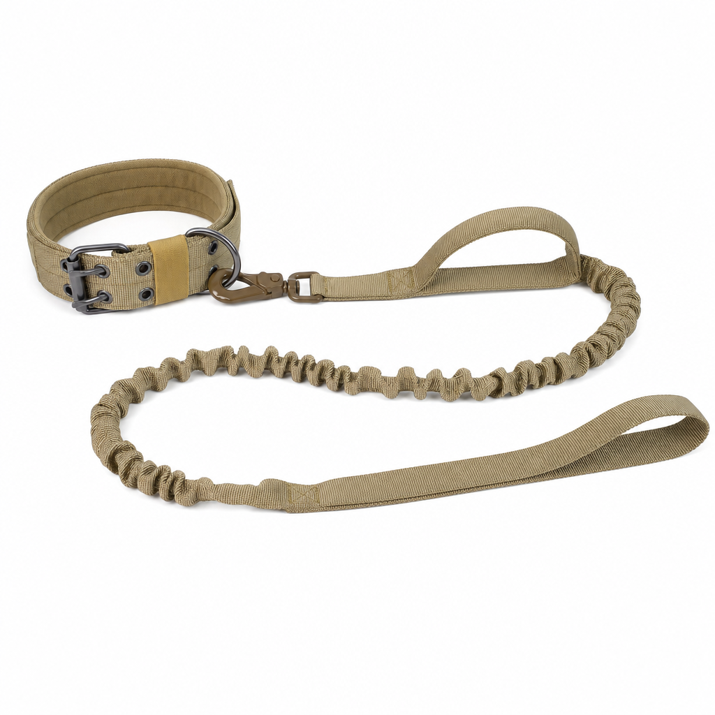 Khaki set: a two-pin buckle dog collar clipped to a matching bungee lead with a grip handle and hand loop.