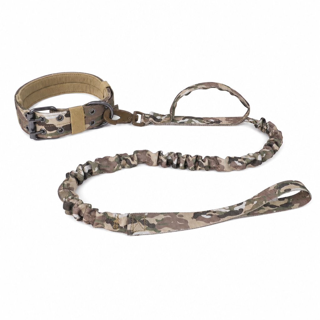 Camo set: a two-pin buckle dog collar clipped to a matching bungee lead with a grip handle and hand loop.