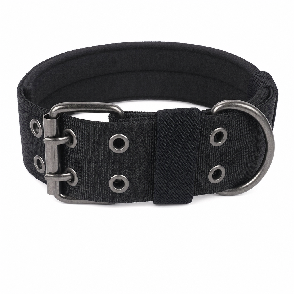 Black padded dog collar with a two-pin metal buckle, two rows of metal eyelets and a D-ring.