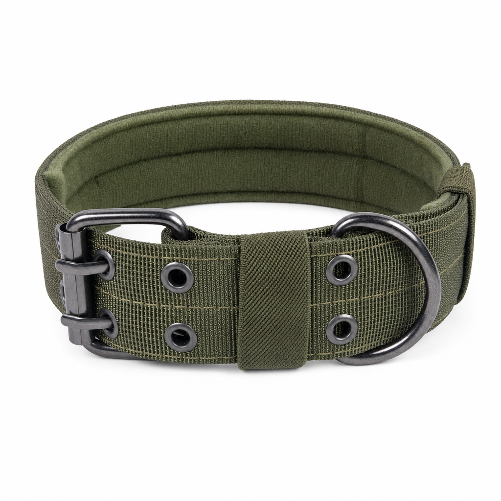 Olive padded dog collar with a two-pin metal buckle, two rows of metal eyelets and a D-ring.