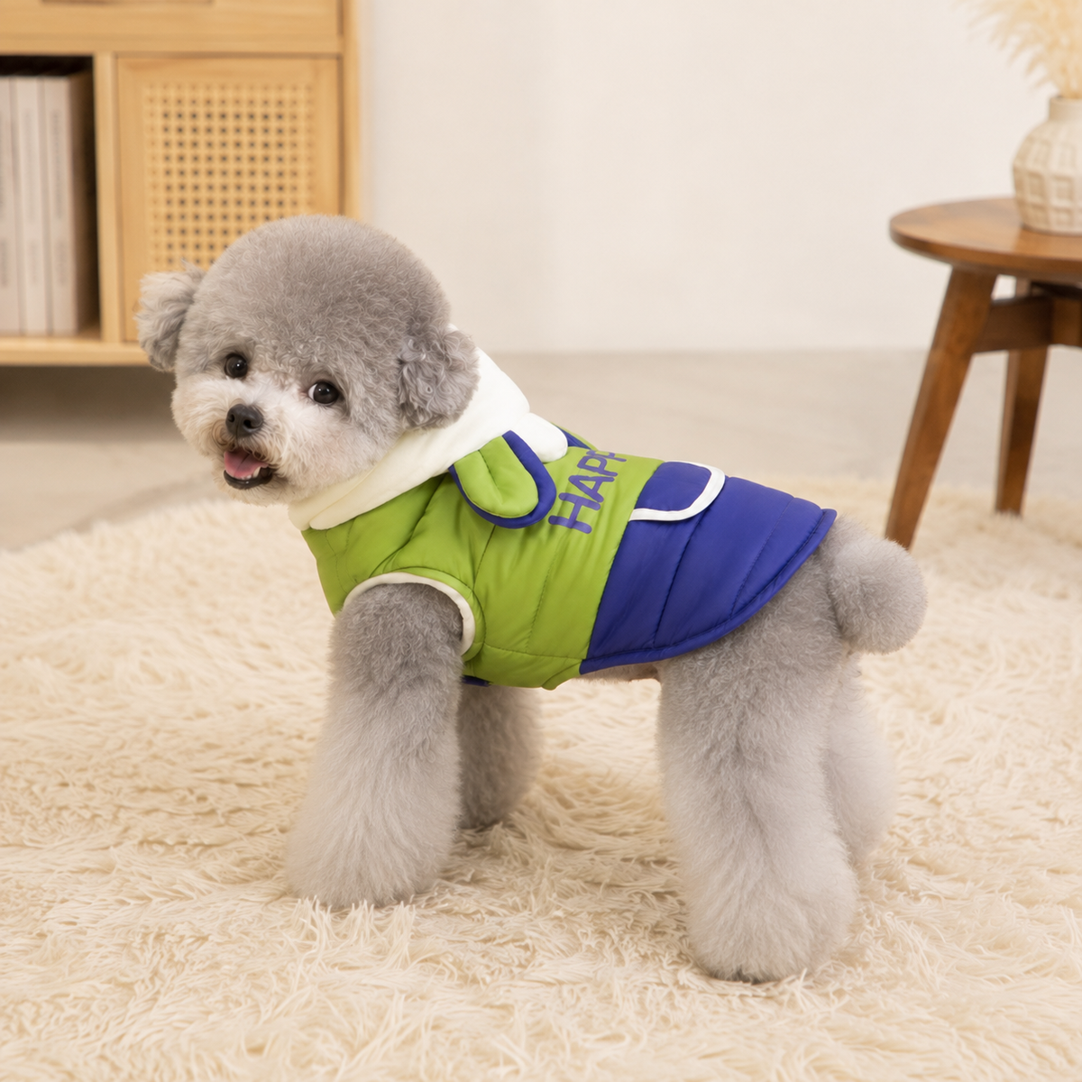 Small fluffy dog wearing the Hooded Dog Winter Cotton Coat in Green.