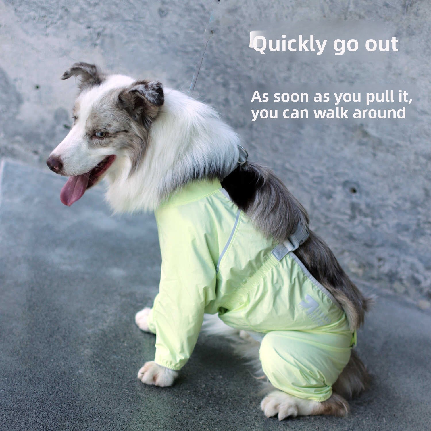 Dog wearing the outdoor water-resistant jumpsuit outdoors#Archived_General