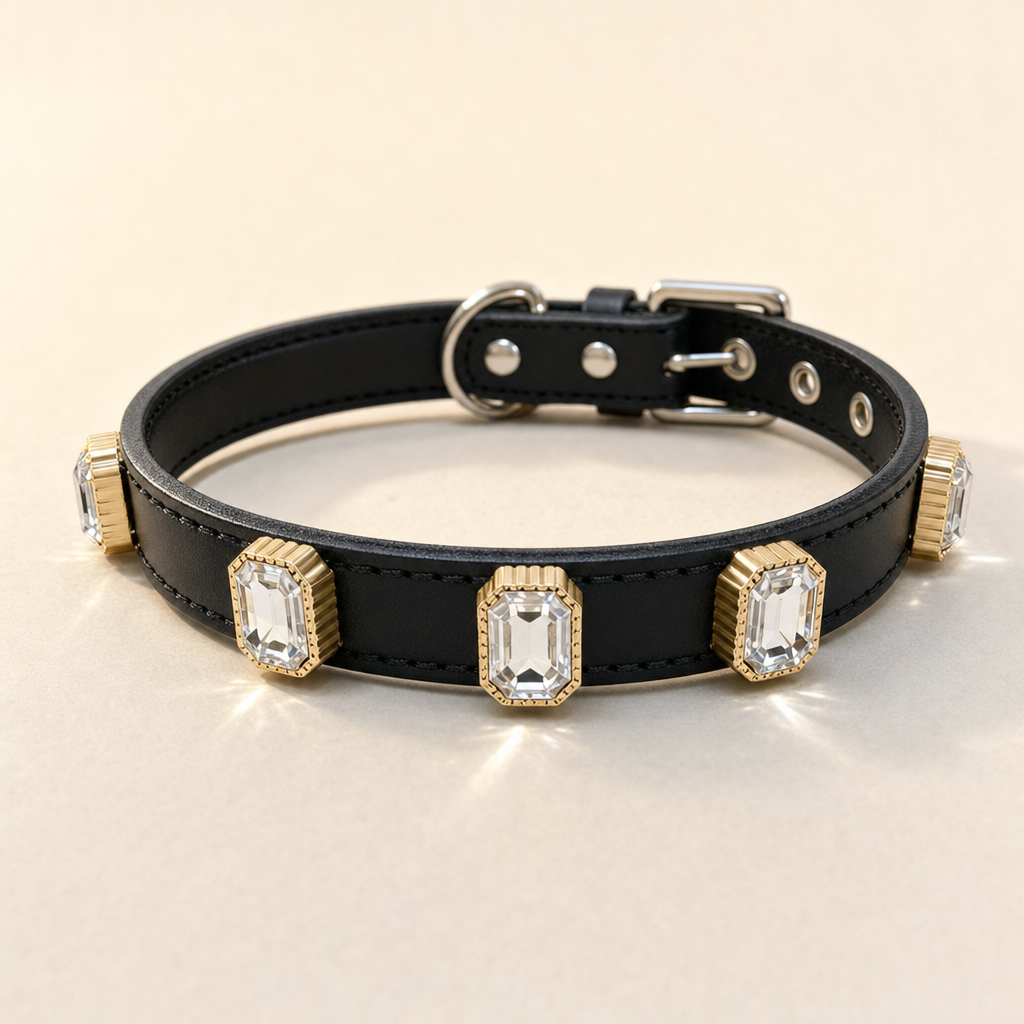 Black rhinestone dog collar with five clear stones in gold-tone settings and a silver buckle