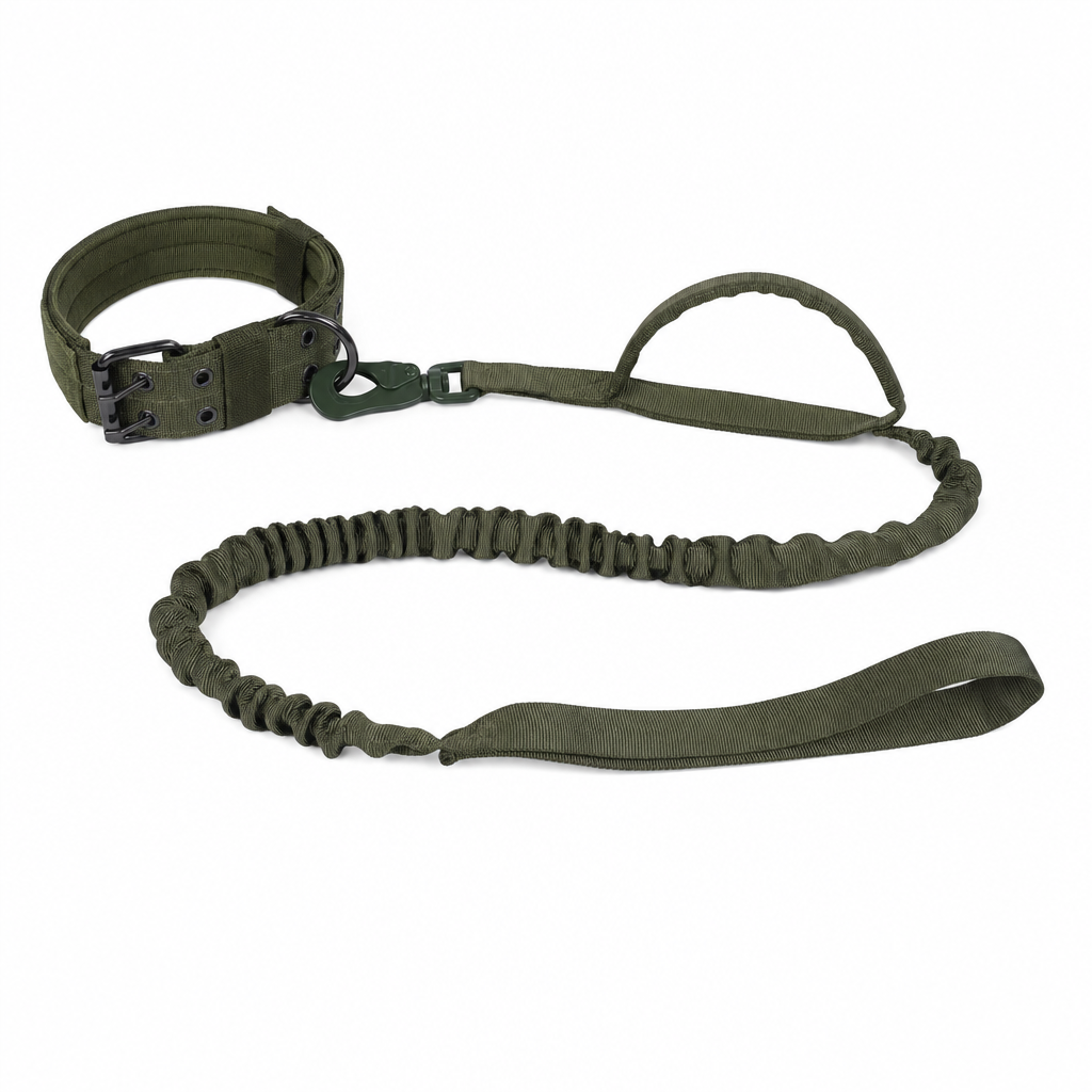 Olive set: a two-pin buckle dog collar clipped to a matching bungee lead with a grip handle and hand loop.