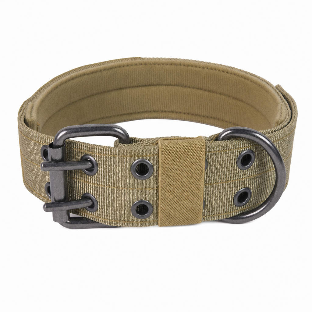 Khaki padded dog collar with a two-pin metal buckle, two rows of metal eyelets and a D-ring.